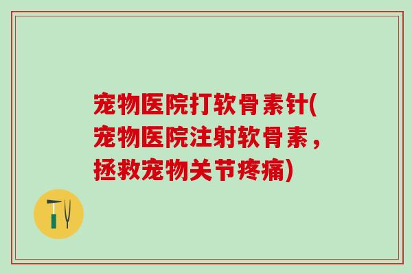 宠物医院打软骨素针(宠物医院注射软骨素，拯救宠物关节疼痛)