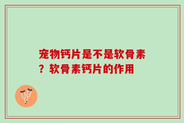 宠物钙片是不是软骨素？软骨素钙片的作用