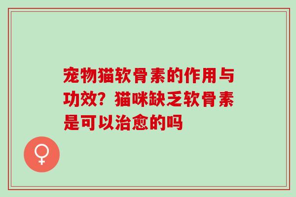 宠物猫软骨素的作用与功效？猫咪缺乏软骨素是可以愈的吗