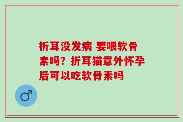 折耳没发 要喂软骨素吗？折耳猫意外怀孕后可以吃软骨素吗