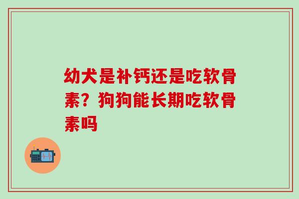 幼犬是补钙还是吃软骨素?狗狗能长期吃软骨素吗 幼犬是补钙还是吃软骨素?狗狗能长期吃软骨素吗