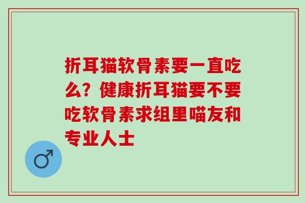 折耳猫软骨素要一直吃么？健康折耳猫要不要吃软骨素求组里喵友和专业人士