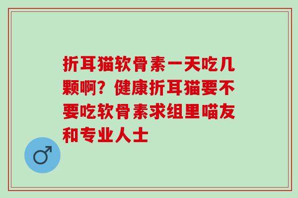折耳猫软骨素一天吃几颗啊？健康折耳猫要不要吃软骨素求组里喵友和专业人士