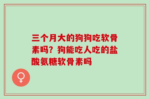 三个月大的狗狗吃软骨素吗？狗能吃人吃的盐酸氨糖软骨素吗