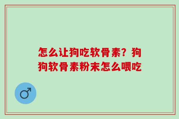 怎么让狗吃软骨素？狗狗软骨素粉末怎么喂吃