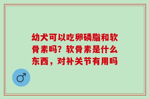 幼犬可以吃卵磷脂和软骨素吗？软骨素是什么东西，对补关节有用吗