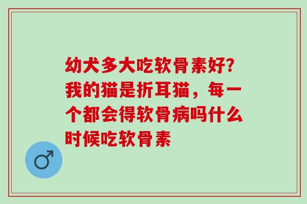 幼犬多大吃软骨素好？我的猫是折耳猫，每一个都会得软骨病吗什么时候吃软骨素