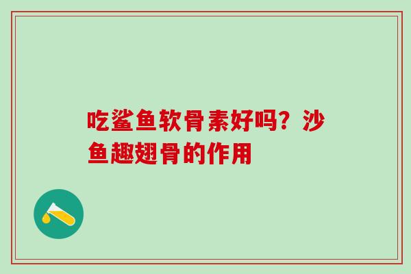 吃鲨鱼软骨素好吗？沙鱼趣翅骨的作用