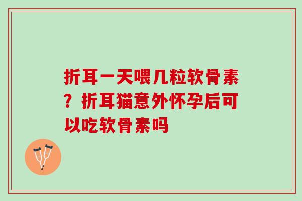 折耳一天喂几粒软骨素？折耳猫意外怀孕后可以吃软骨素吗
