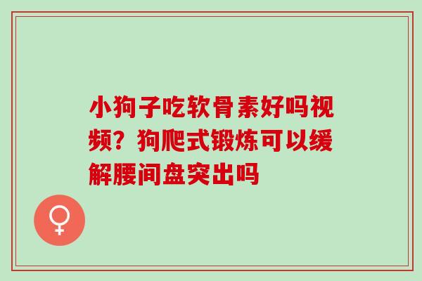小狗子吃软骨素好吗视频？狗爬式锻炼可以缓解腰间盘突出吗