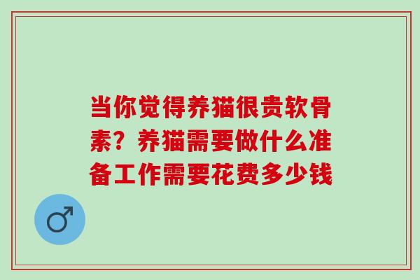 当你觉得养猫很贵软骨素?养猫需要做什么准备工作需要花费多少钱 当你觉得养猫很贵软骨素?养猫需要做什么准备工作需要花费多少钱