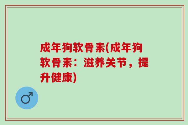 成年狗软骨素(成年狗软骨素：滋养关节，提升健康)