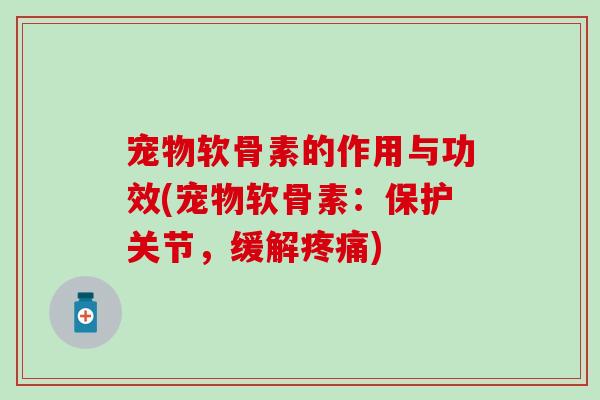 宠物软骨素的作用与功效(宠物软骨素：保护关节，缓解疼痛)
