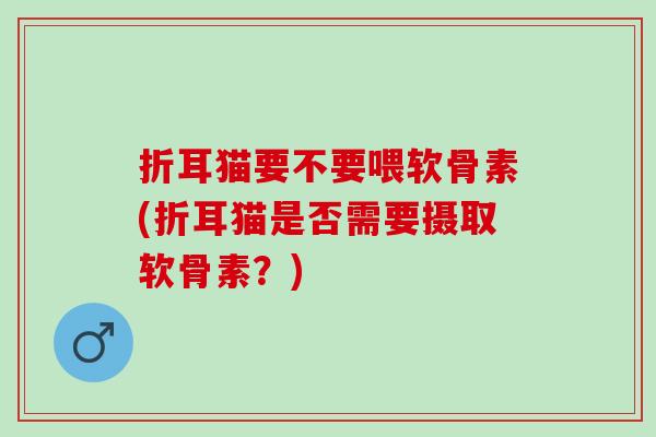 折耳猫要不要喂软骨素(折耳猫是否需要摄取软骨素？)