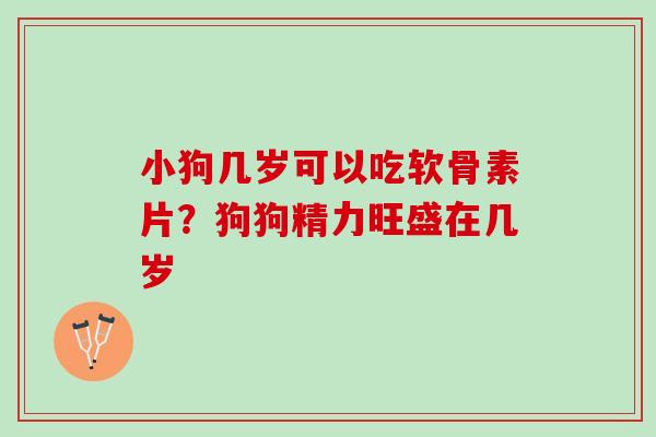 小狗几岁可以吃软骨素片？狗狗精力旺盛在几岁