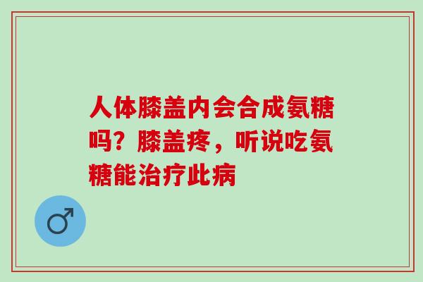 人体膝盖内会合成氨糖吗？膝盖疼，听说吃氨糖能治疗此病