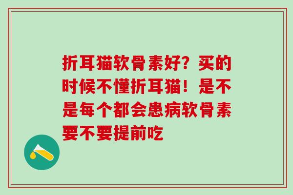 折耳猫软骨素好？买的时候不懂折耳猫！是不是每个都会患软骨素要不要提前吃