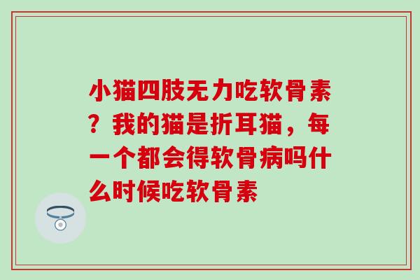 小猫四肢无力吃软骨素？我的猫是折耳猫，每一个都会得软骨病吗什么时候吃软骨素