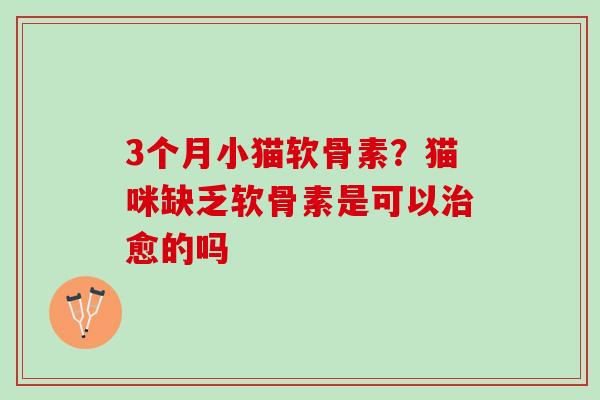 3个月小猫软骨素？猫咪缺乏软骨素是可以治愈的吗