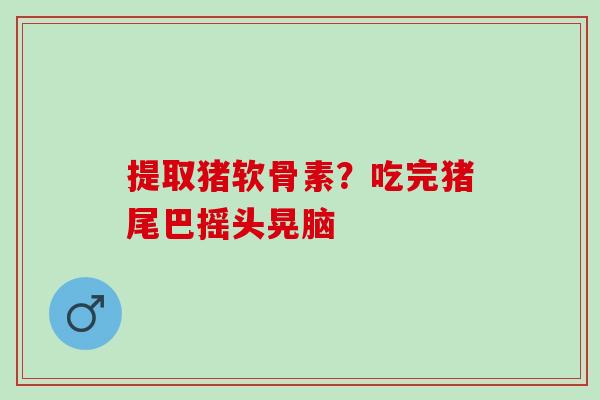 提取猪软骨素？吃完猪尾巴摇头晃脑