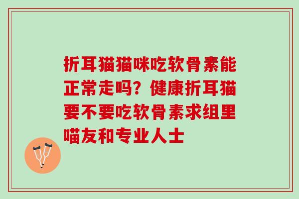 折耳猫猫咪吃软骨素能正常走吗?健康折耳猫要不要吃软骨素求组里喵友和专业人士 折耳猫猫咪吃软骨素能正常走吗?健康折耳猫要不要吃软骨素求组里喵友和专业人士
