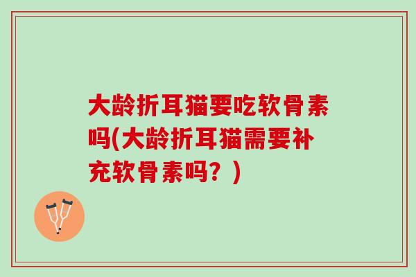 大龄折耳猫要吃软骨素吗(大龄折耳猫需要补充软骨素吗？)