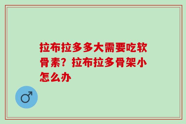 拉布拉多多大需要吃软骨素？拉布拉多骨架小怎么办
