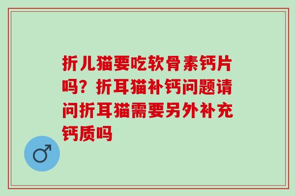 折儿猫要吃软骨素钙片吗?折耳猫补钙问题请问折耳猫需要另外补充钙质吗 折儿猫要吃软骨素钙片吗?折耳猫补钙问题请问折耳猫需要另外补充钙质吗