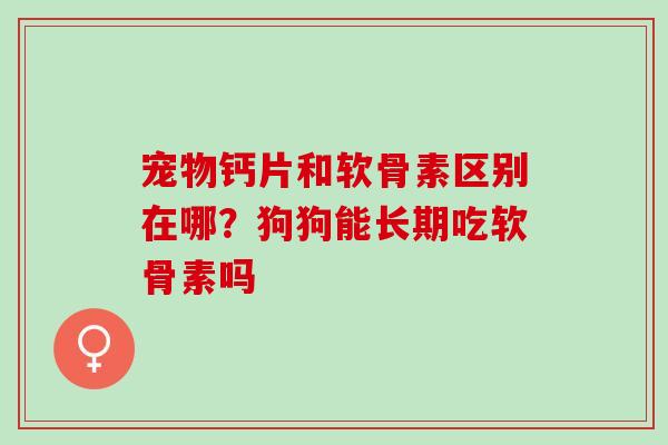宠物钙片和软骨素区别在哪？狗狗能长期吃软骨素吗