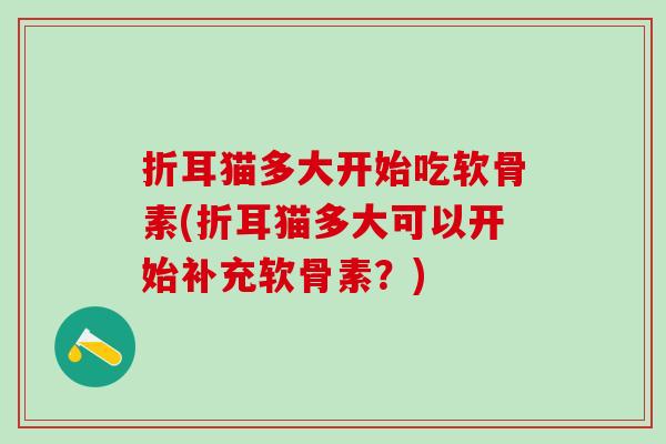 折耳猫多大开始吃软骨素(折耳猫多大可以开始补充软骨素？)