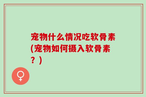 宠物什么情况吃软骨素(宠物如何摄入软骨素？)