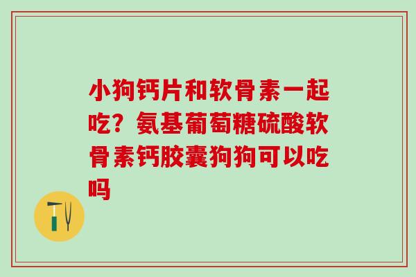 小狗钙片和软骨素一起吃？氨基葡萄糖硫酸软骨素钙胶囊狗狗可以吃吗