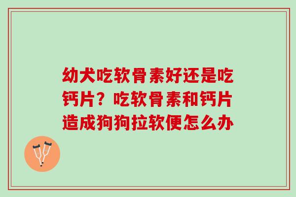 幼犬吃软骨素好还是吃钙片？吃软骨素和钙片造成狗狗拉软便怎么办
