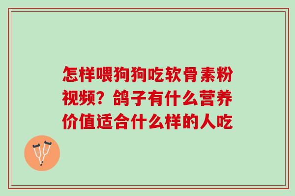 怎样喂狗狗吃软骨素粉视频？鸽子有什么营养价值适合什么样的人吃