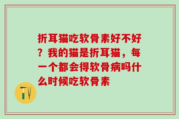折耳猫吃软骨素好不好？我的猫是折耳猫，每一个都会得软骨病吗什么时候吃软骨素