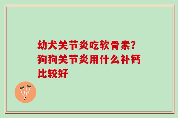 幼犬吃软骨素？狗狗用什么补钙比较好
