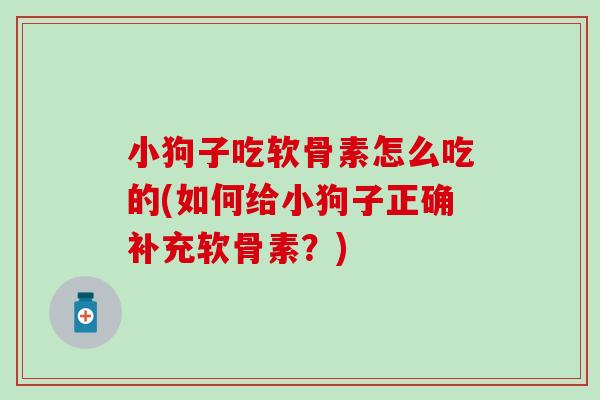 小狗子吃软骨素怎么吃的(如何给小狗子正确补充软骨素？)