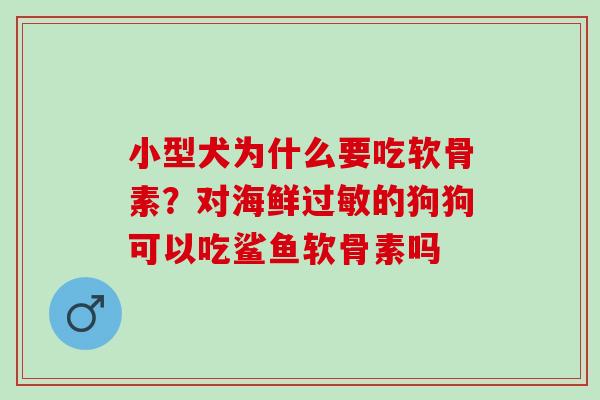 小型犬为什么要吃软骨素？对海鲜过敏的狗狗可以吃鲨鱼软骨素吗