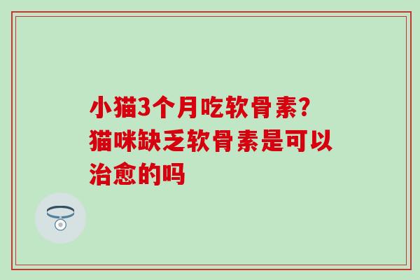 小猫3个月吃软骨素？猫咪缺乏软骨素是可以愈的吗