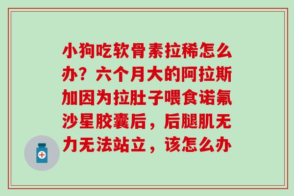 小狗吃软骨素拉稀怎么办？六个月大的阿拉斯加因为拉肚子喂食诺氟沙星胶囊后，后腿肌无力无法站立，该怎么办
