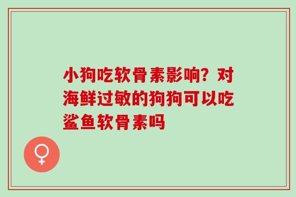 小狗吃软骨素影响？对海鲜过敏的狗狗可以吃鲨鱼软骨素吗