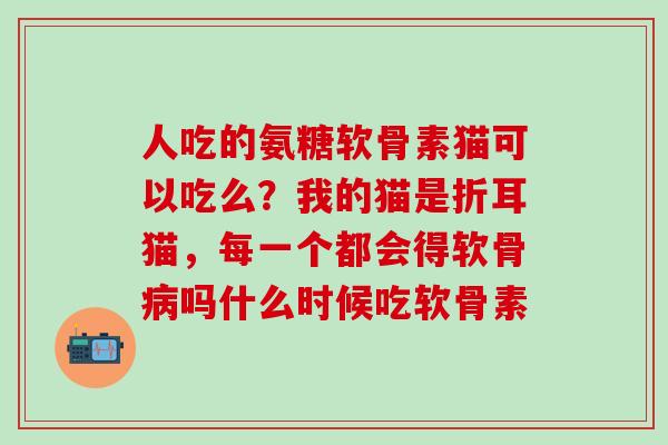 人吃的氨糖软骨素猫可以吃么？我的猫是折耳猫，每一个都会得软骨病吗什么时候吃软骨素