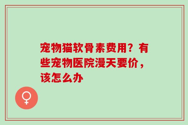 宠物猫软骨素费用？有些宠物医院漫天要价，该怎么办