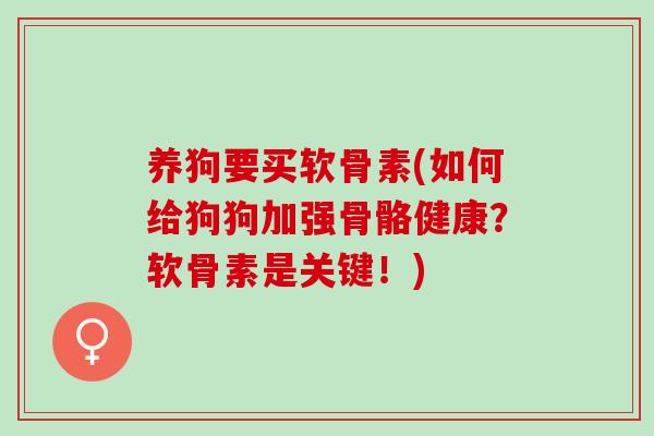养狗要买软骨素(如何给狗狗加强骨骼健康？软骨素是关键！)