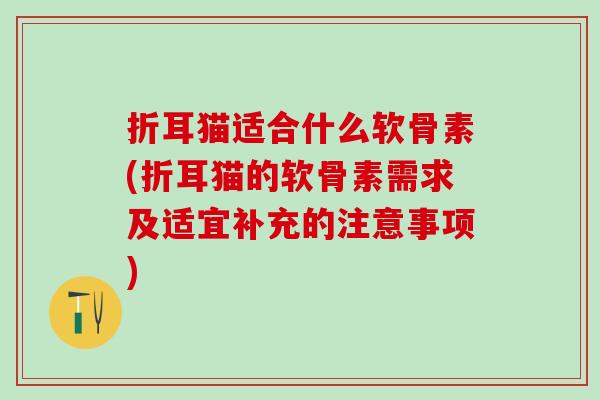 折耳猫适合什么软骨素(折耳猫的软骨素需求及适宜补充的注意事项)