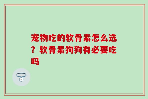 宠物吃的软骨素怎么选？软骨素狗狗有必要吃吗