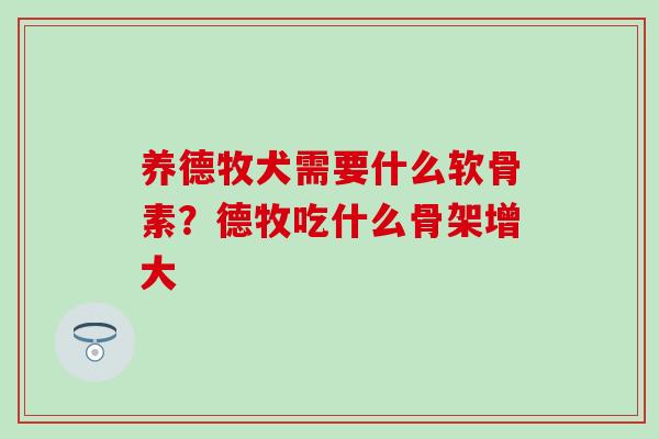 养德牧犬需要什么软骨素？德牧吃什么骨架增大