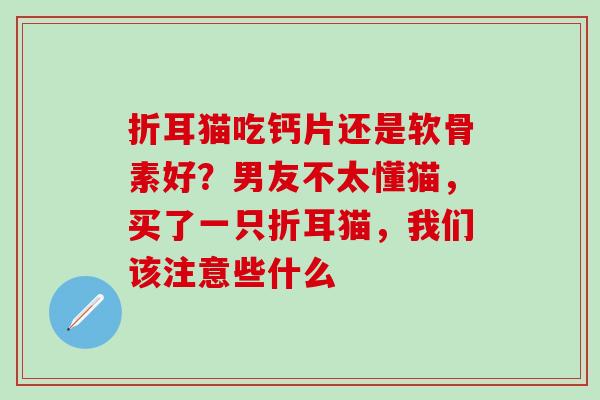 折耳猫吃钙片还是软骨素好?男友不太懂猫,买了一只折耳猫,我们该注意些什么 折耳猫吃钙片还是软骨素好?男友不太懂猫,买了一只折耳猫,我们该注意些什么