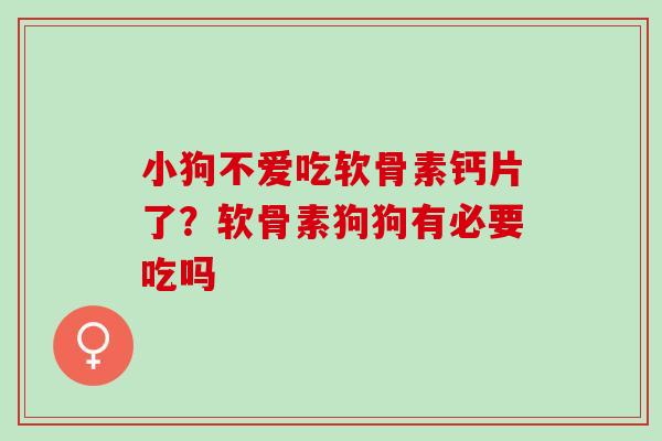 小狗不爱吃软骨素钙片了？软骨素狗狗有必要吃吗