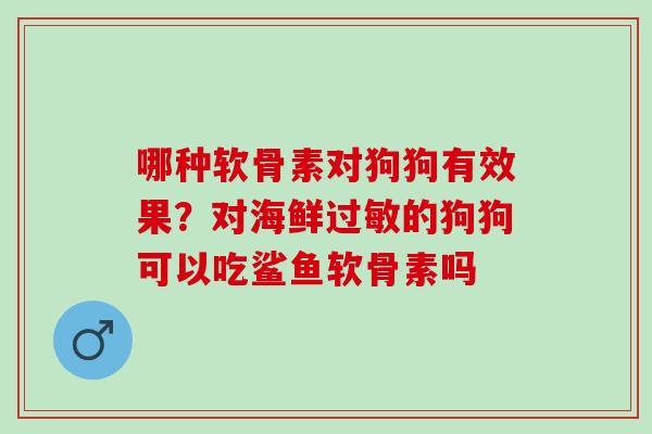 哪种软骨素对狗狗有效果？对海鲜过敏的狗狗可以吃鲨鱼软骨素吗